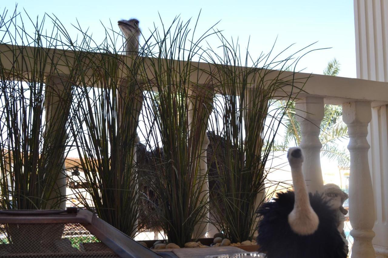 Farm Lebanon Guest House อาบูดาบี ภายนอก รูปภาพ